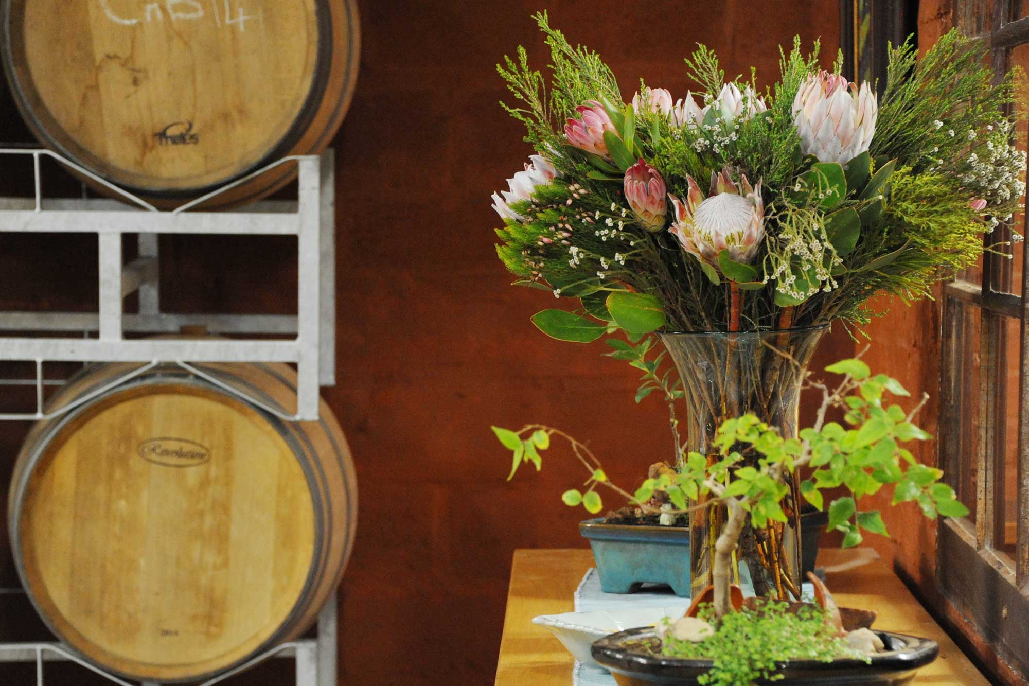 Fynbos in Cellar