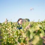 Vineyards