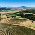 Aerial View Vineyards