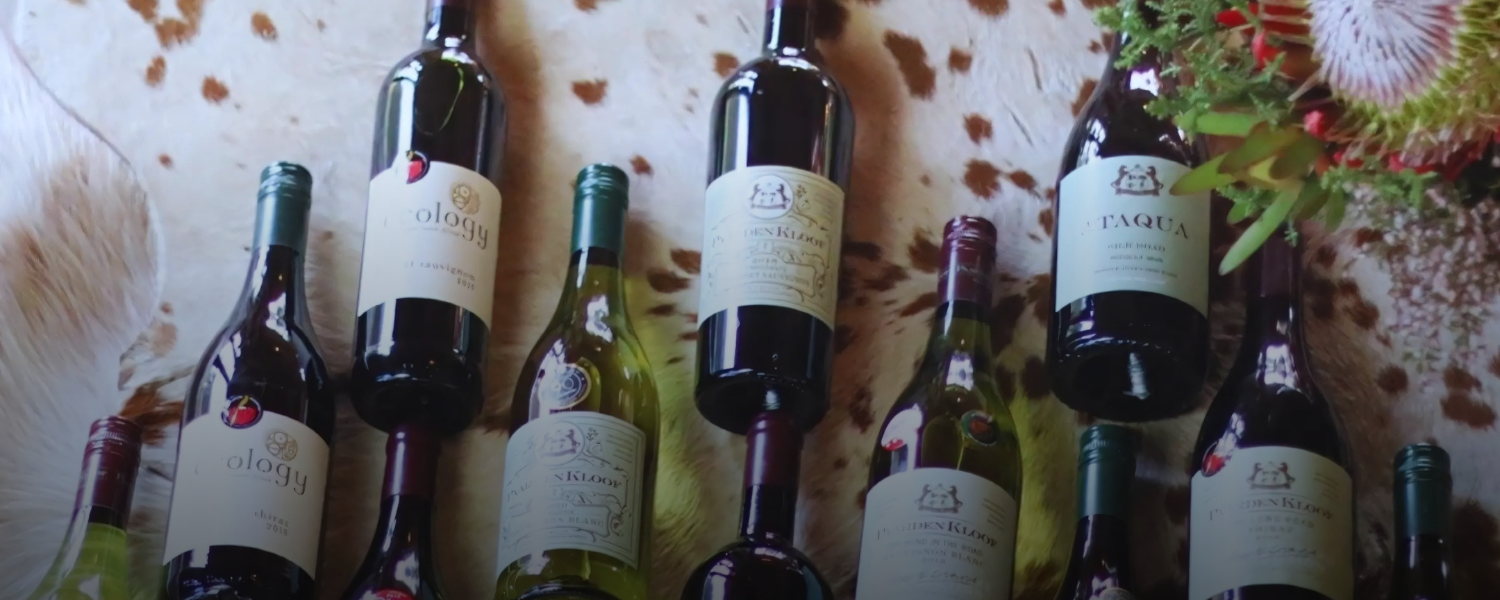WIne Collection WIne Collection